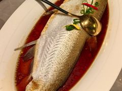 清蒸白水鱼-醉庐·新上海菜(南京西路店)