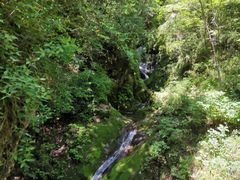 -牛背梁国家森林公园