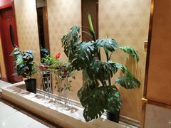 -家富富侨足道会馆(望京店)