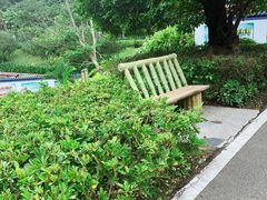 -神光山国家森林公园