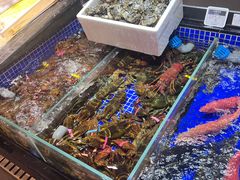 -高佳庄·舟山海鲜(海景旗舰店)