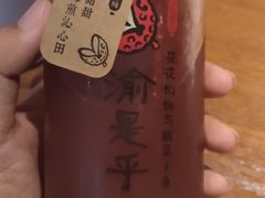 山楂乌梅汁-渝是乎酸菜鱼(龙旗购物中心店)