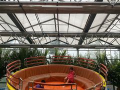 -南宫五洲植物乐园