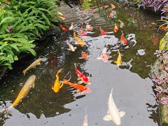 -聚福宝合苑食府(南头镇店)