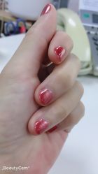 -Lab Season惜辰颜究社