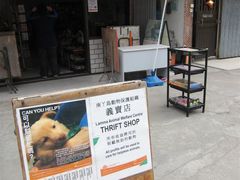-南丫岛