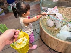 -正佳雨林生态植物园