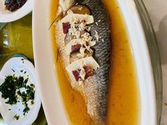 清蒸鲥鱼-光明邨大酒家(淮海路店)