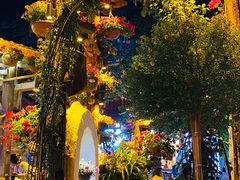 -东巴谷野生菌火锅餐厅