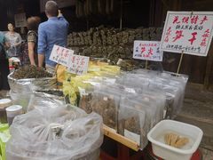 -尧坝古镇