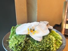 -月龍吟(朝龙汇店)
