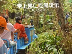 -呀路古热带植物园