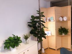 -FACE·日本小颜矫正美容整骨サロン