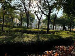 -聚龙山公园