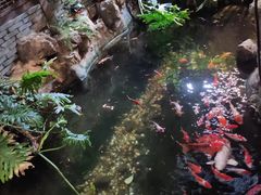 -聚缘堂·海鲜私房菜(松岭路店)