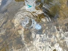 -广州白江湖森林公园