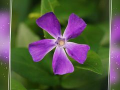 -苏州河梦清园环保主题公园