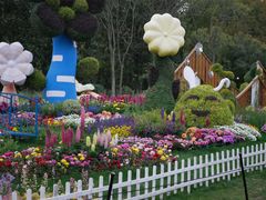 -上海共青森林公园