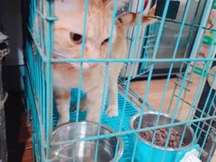 -老地方面馆(思南路店)