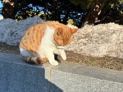 -旅顺博物馆