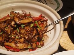 -三强鸽子(中原路店)