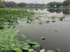 -南宁南湖公园