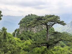-圣莲山风景区