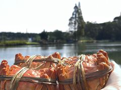 -水岸居湖景农家乐·阳澄湖大闸蟹