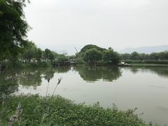 -长兴太湖图影湿地文化园