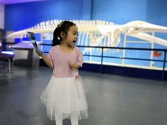 -福州罗源湾海洋世界旅游区