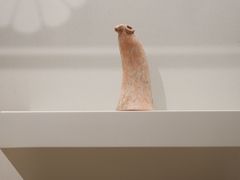 -清华大学艺术博物馆