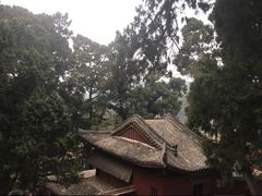 -七曲山风景区