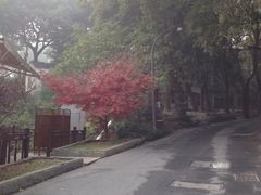 外景-鲜屋惟曼酒店(西湖宋城九溪店)