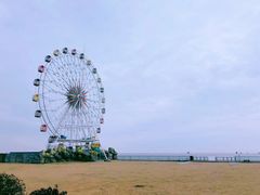 -上海棕榈滩海景酒店