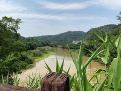 -南宁良凤江国家森林公园