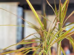 大堂-Metal hands·铁手咖啡