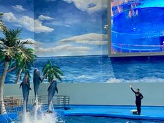 -福州罗源湾海洋世界旅游区