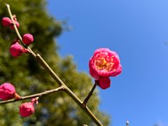 -上海吴淞炮台湾国家湿地公园