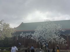 -珠海圆明新园