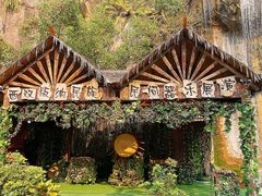 -西双版纳原始森林公园