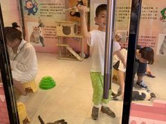 -猫咪博物馆(顶澳仔猫街店)