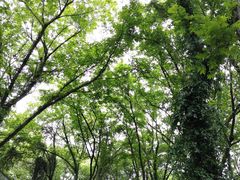 -西溪南古村落