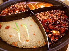 -白乐天毛肚火锅馆(解放碑店)