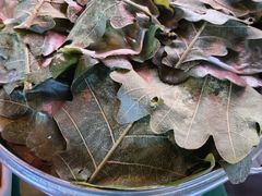 -一口猪海鲜浑锅·东北家常菜