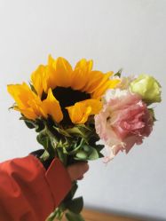 -莲芯花月子会所