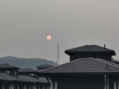 -美的鹭湖森林度假区