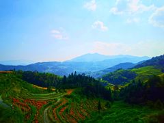 -紫鹊界梯田景区