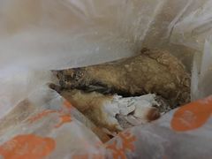 -潘太师炸鸡腿(中茵海华广场店)