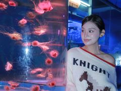 -海合安成都极地海洋公园