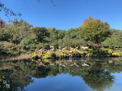 -杭州植物园